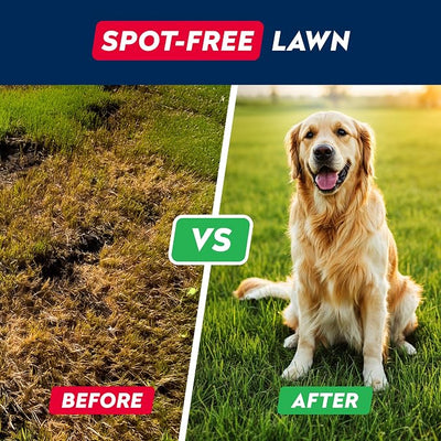 STRELLALAB Green Grass Chews - Pee Grass Spot Saver Caused by Dog Urine - Urine Neutralizer for Lawn, Gut Health Probiotics & Digestive Enzymes,Lawn Burn from Dog Urine, Grass Burn Spot Chews