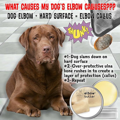 The Blissful Dog Elbow Butter for Dry, Cracked Calluses, Lick-Safe Dog Balm, Soothing Elbow Balm with Moisturizing Shea Butter, Almond, Olive, and Essential Oils, Pet Supplies, 0.15 oz. Stick