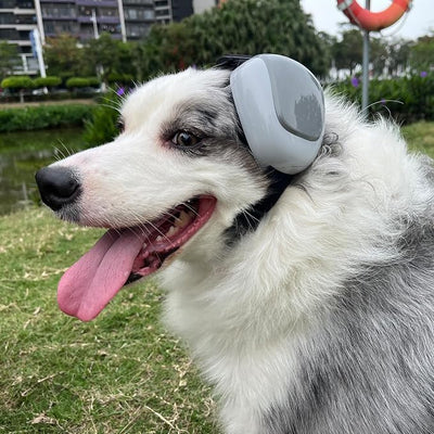 derYEP Dog Earmuffs GEN2 For Hearing Protection 30dB NRR ear muffs noise protection (Small, Nocturne Grey)