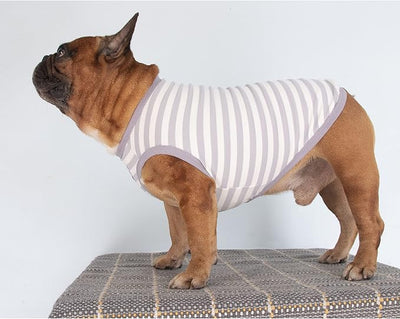iChoue Pug 100% Breathable Cotton Striped T Shirts Halloween Vest Clothes for Medium Dogs Tank Tops Puppy French Bulldog Frenchie English Boston Terrier Pitbull Grey White Stripes - Small