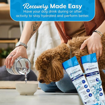 Replenish Dog Recovery Water Supplement – Pedialyte for Dogs Hydration Drink & Water Additive - Electrolytes for Dogs Hydration Supplement – 10 Packets Count