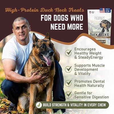 All American Canine 50 Natural Duck Neck Dog Treats – Single Ingredient, Dehydrated & Chewy – Low-Fat, High-Protein Training Reward – Made in USA