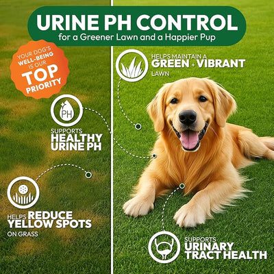 Dog Urine Neutralizer for Lawn - 170 Green Lawn Chews for Dogs - Pee Grass Burn Spot Saver Caused by Dog Urine with Probiotics & Digestive Enzymes - Advanced Gut Health Supplement, Rocks