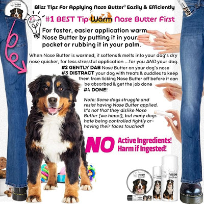 The Blissful Dog Bernese Mountain Nose Butter, Versatile Dog Nose Balm for Dry Nose, Handcrafted Nose Moisturizer, Easy-to-Apply Dog Essentials, Unscented, 1 oz.