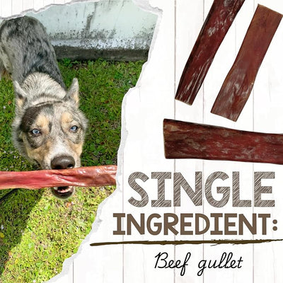Nature Gnaws Beef Gullet Chews for Large Dogs 9-10" (20 Count) - Natural Beef Jerky Stick Dog Chew Treats - Rawhide Free