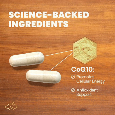 Vetri-Science VETRISCIENCE Coenzyme Q10 for Dogs and Cats, 10mg, 100 Capsules - Cardiovascular and Gum Health CoQ10 Supplement for Pets