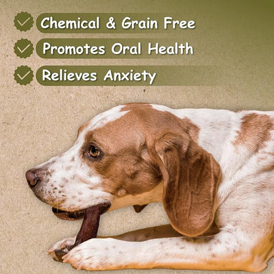 Top Dog Chews 6" Bully Sticks - 25 Pack, 1.3 LB Bag, All Natural, Roasted, Sourced from Free Range Beef, High Protein, Low Fat Dog Chews for Healthy Teeth, Gums & Chewing Satisfaction.