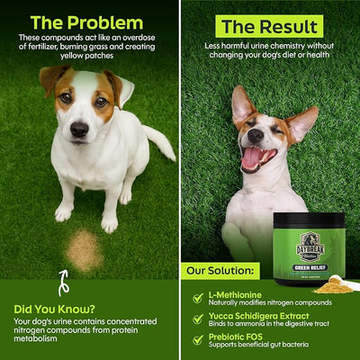 Daybreak Nutrition Green Relief Dog Urine Neutralizer for Lawn - Natural Grass Saver Powder Supplement with L-Methionine, Cranberry & Probiotics - Prevents Yellow Patches from Dog Pee - Made in USA
