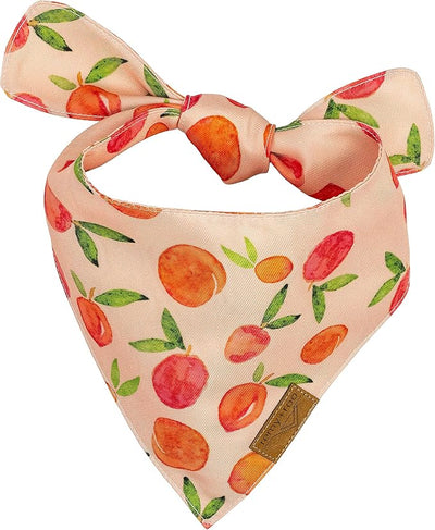 Remy+Roo Large Spring Dog Bandanas - 4 Pack Katherine Set | Premium Durable Adjustable Polyester Fabric Dog Scarfs | Patented Shape Girl Dog Bandana, Trendy Pattrens, Floral Dog Bandana