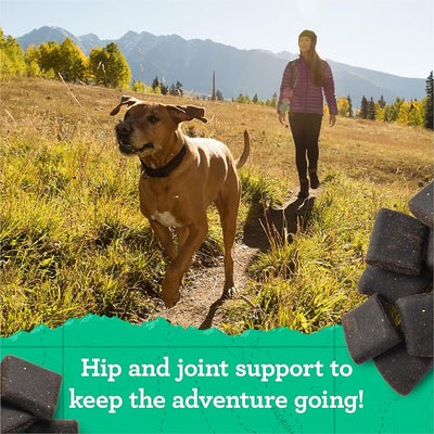 Zuke’s Hip and Joint Support Dog Treats for Adult Dogs, Senior Dog Treats Made with Real Peanut Butter and Oats, 16 oz. Resealable Pouch - 16 oz. Bag