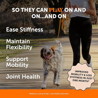 Hip + Joint Supplement for Dogs with Glucosamine Chondroitin - MSM, Turmeric & Collagen Soft Chews - Joint Function, Stiffness, and Mobility Support, May Reduce Occasional Discomfort (Chicken, 180 Ct)