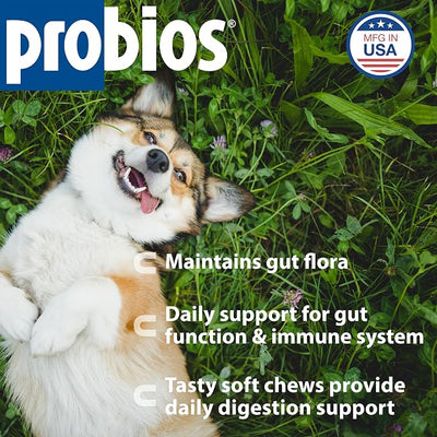 Probios for Dogs Soft Chews, Daily Probiotic Supplement for Gut Health, Digestion and Immune Support Medium and Large Breeds, Chicken Liver Flavor, 4.23 oz 120 Chews