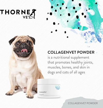 ThorneVet Collagen Supplement for Dogs & Cats – Powder to Support Healthy Joints, Muscles, Bones, and Skin - 75 Scoops
