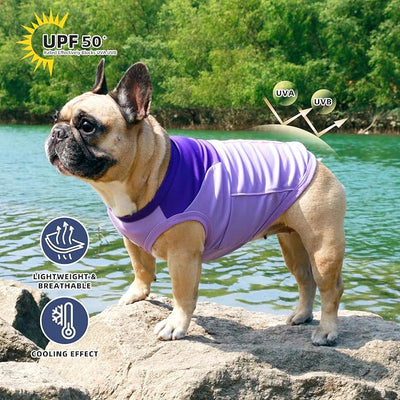 iChoue French Bulldog Summer Cooling Shirt for Dogs UV Sun Protection Vest Sleeveless Breathable Tank Top English Pug Purple - Medium