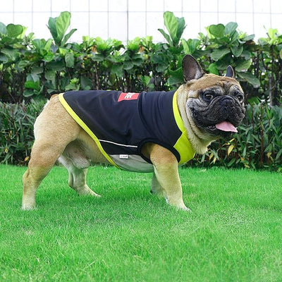 iChoue French Bulldog Summer Cooling Shirt for Dogs UV Sun Protection Vest Sleeveless Stretchy Tank Top English Pug Yellow Black - Large