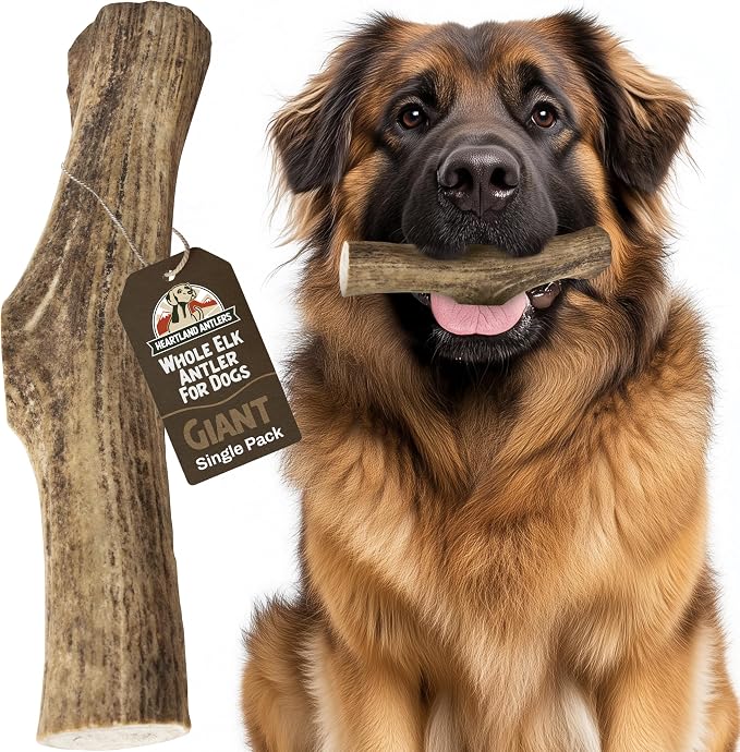 Heartland Elk Antlers for Dogs - Daily Dental Care Chews for Aggressive Chewers to Reduce Plaque & Prevent Destructive Behavior (Splinter Free, Whole, 9", Giant, 1-Pack, Grade A, USA Made)
