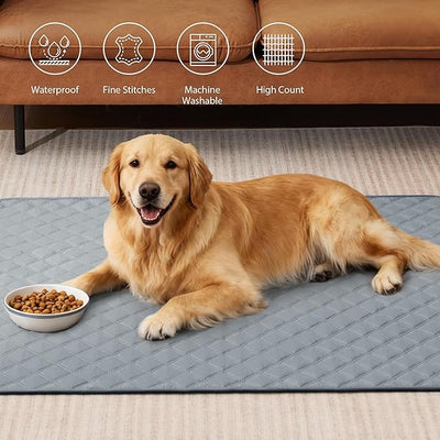 Eterish Reusable Washable Pee Pads for Dogs Large/Extra Large 31'' x 36'' 2 Pack, Absorbent Pet Puppy Dog Training Pads Non-Slip, Waterproof Whelping Potty Pads for Dogs Leak-Proof