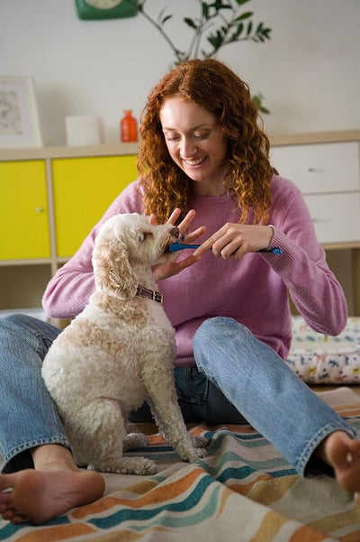 Dog Toothbrush and Bite Block Assistant Combo Pack by Paw Ready for Puppies' Dogs and Cats Small Size for use with Pets Between 5-15 lbs. (2-7kg) Protects Hands and Fingers While Brushing