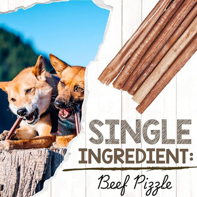 Nature Gnaws Large Bully Sticks for Dogs 11-12" (10 Count) - Thick Long Lasting for Aggressive Chewers and Large Dogs - Natural Beef Dog Chew Bones