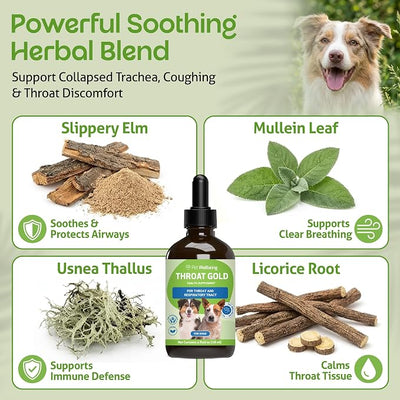 Pet Wellbeing Throat Gold for Dogs - Supports Collapsed Trachea & Throat Discomfort with Mullein & Slippery Elm for Kennel Cough - NASC Certified & Vet-Formulated 4 oz Liquid Formula