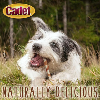 Cadet Gourmet 5-Inch Beef Hide Twist Chew Sticks, Long-Lasting and Natural Rawhide Chews for Dogs, Inspected & Tested in USA, Chicken Flavor, 50 Count