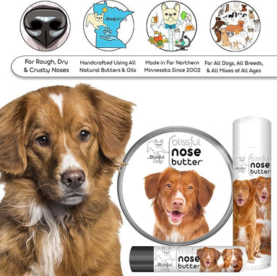 The Blissful Dog Nova Scotia Duck Tolling Retriever Unscented Nose Butter - Dog Nose Butter, 8 Ounce