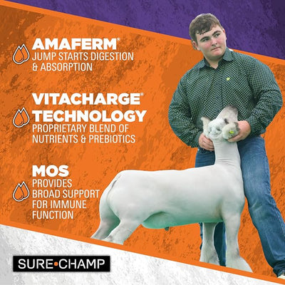 Vita Charge Liquid Boost, 32 Oz - Digestive Health Supplement for Beef Cattle, Sheep, Goats & Swine - Promotes Feed & Water Intake During Stress, Recovery & Weaning