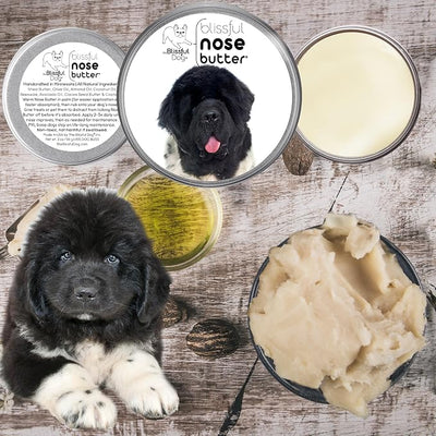 The Blissful Dog Landseer Newfoundland Nose Butter, Versatile Dog Nose Balm for Dry Nose, Handcrafted Nose Moisturizer, Easy-to-Apply Dog Essentials, Unscented, 2 oz.