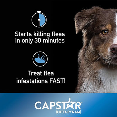 Capstar (Nitenpyram) Fast-Acting Oral Flea Treatment for Dogs 2-25 Lbs, Vet-Recommended Medication Tablets, Flea Tablets for Dogs Start Killing in 30 Minutes, 6 Doses