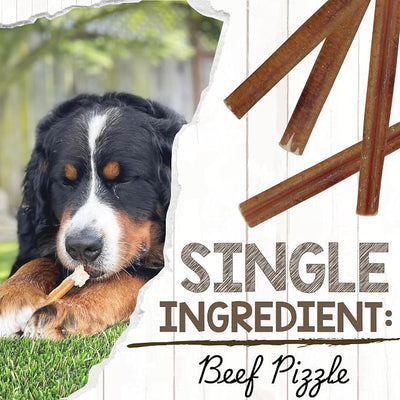 Nature Gnaws Large Bully Sticks for Dogs 5-6" (3 Count) - Thick Long Lasting for Aggressive Chewers and Large Dogs - Natural Beef Dog Chew Bones