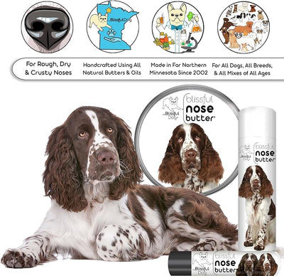 The Blissful Dog Springer Spaniel Unscented Nose Butter - Dog Nose Butter, 4 Ounce