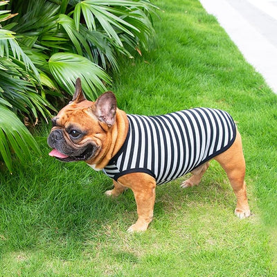 iChoue French Bulldog 100% Breathable Cotton Striped T Shirts Halloween Vest Clothes for Small Dogs Tank Tops Puppy Frenchie Pug English Boston Terrier Pitbull Grey Black Stripes - Medium