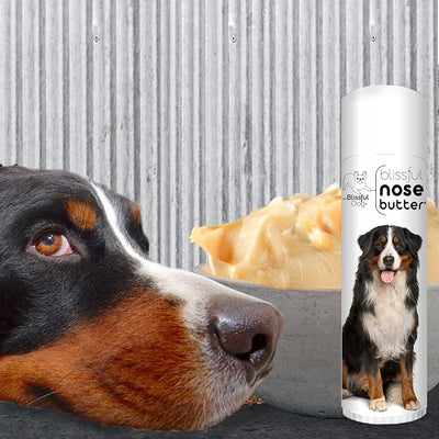 The Blissful Dog Bernese Mountain Dog Nose Butter, Versatile Dog Nose Balm for Dry Nose, Handcrafted Nose Moisturizer, Easy-to-Apply Dog Essentials, Unscented, 0.50 oz.
