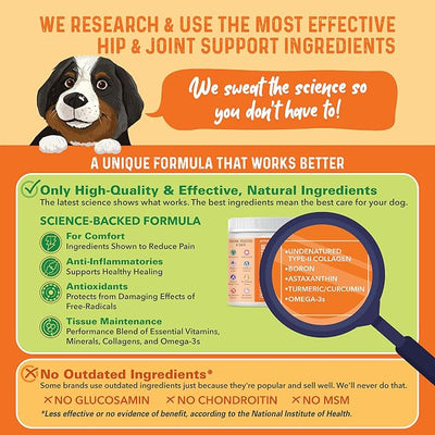 Bernie's Healthy Hips Dog Joint Supplement, 90 Chews