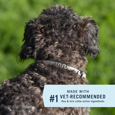 PetArmor Extend Flea & Tick Treatment & Prevention Collar for Small Dogs up to 18 lbs., 8 Months of Protection, Odorless & Non-Greasy, 2 Count