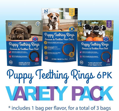N-Bone Puppy Teething Rings 6 Count Bag Variety Pack, Chicken & Pumpkin & Blueberry BBQ Flavor, Total 3 Bags, 21.6-oz, 18 Rings
