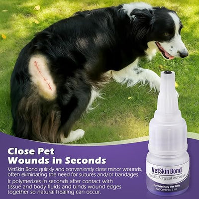 6 Pack 3ml Veterinary Surgical Skin Glue with 60 Applicators, Strong Surgical Adhesive, Blue Tinted Fast Acting Tissue Wound Glue, Up to 30 Applications, Ideal for Multi Pet Households