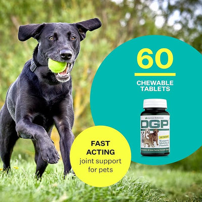 American BioSciences DGP, All-Natural Joint Supplement for Dogs - Joint Support with Turmeric Boswellia Extract - 60 Chewable Pet Tablets per Bottle (60 Count (Pack of 1))