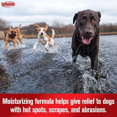 Sulfodene Hot Spot & Itch Relief Medicated Spray for Dog 8oz,(Pack of 2)