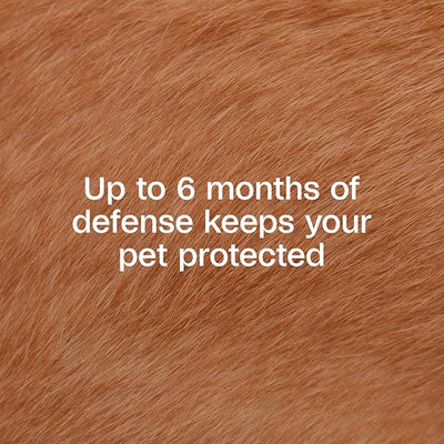 ADAMS Flea and Tick Collar Plus for Dogs & Puppies, 6 Months Protection Against Infestations, Kills Fleas & Ticks, Repels Mosquitoes for Up to 6 Months (Excl. California), One Size Fits All, 1 ct