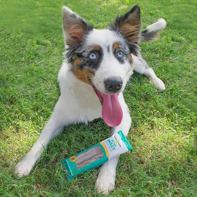 | Better Bully Vegan Dog Chews 2ct Small | Long Lasting Chew | Hypoallergenic Allergy- Friendly Plant-Based | Made in USA