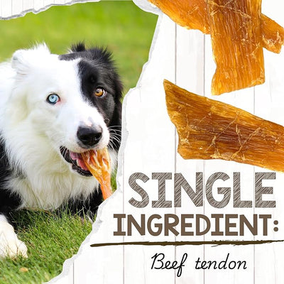 Nature Gnaws Beef Paddywack Tendons for Dogs 5-6" (10 Count) - Long Lasting for Aggressive Chewers - Natural Beef Dog Chew Bones - Rawhide Free