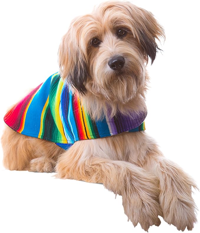 Shih Tzu Clothes - Handmade Dog Poncho from Authentic Mexican Blanket by Baja Ponchos (Blue, Medium)