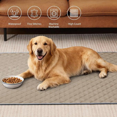 Eterish Reusable Washable Pee Pads for Dogs Large/Extra Large 36'' x 41'' 2 Pack, Absorbent Pet Puppy Dog Training Pads Non-Slip, Waterproof Whelping Potty Pads for Dogs Leak-Proof