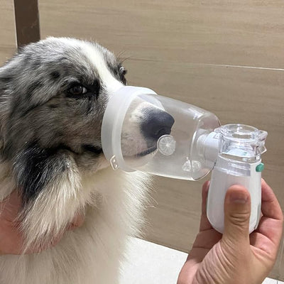 Pets Large Space Mask Pet-Nebulizer-Mist-Device for Cats and Dogs with Pet Mask Designed Specifically for Pets Snout Shape (Medium - Dogs)
