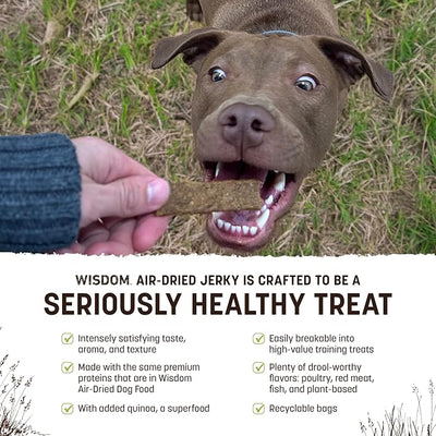 Earth Animal Wisdom Air Dried Jerky - from the Seed Recipe Premium Natural Plant Based Jerky Strips Dog Treats - 3 Pack 4 oz Bag