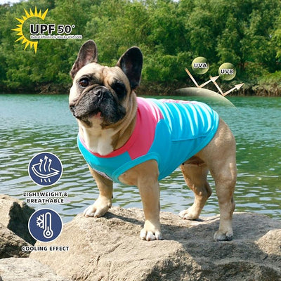 iChoue French Bulldog Summer Cooling Shirt for Dogs UV Sun Protection Vest Sleeveless Breathable Tank Top English Pug Turquoise Rose - Small