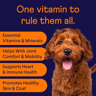 Finn All-in-1 Daily Multivitamin for Dogs | Probiotics & Omegas | 90 Ct | Glucosamine, Essential Vitamins & Minerals | NASC Certified | Vet-Formulated | All Ages & Breeds