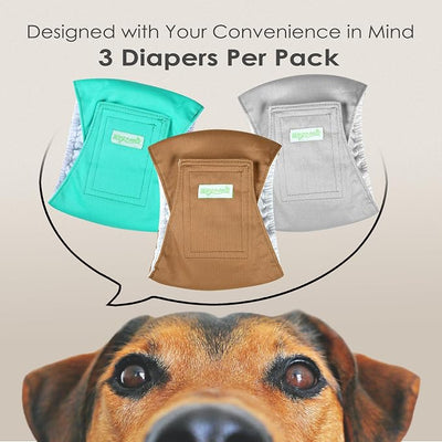 wegreeco Washable Male Dog Belly Band (Stylish Pattern)- Pack of 3 - Male Dog Belly Wrap, Dog Diapers Male (Blue Gray Coffee, Small)
