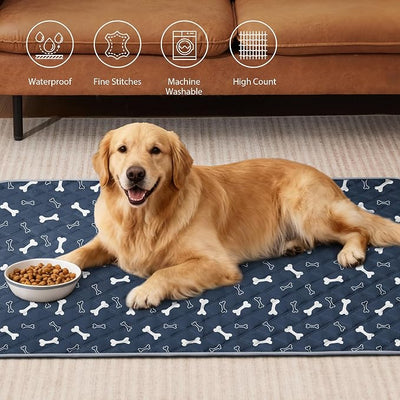 Eterish Reusable Washable Pee Pads for Dogs Large/Extra Large 36'' x 41'' 2 Pack, Absorbent Pet Puppy Dog Training Pads Non-Slip, Waterproof Whelping Potty Pads for Dogs Leak-Proof